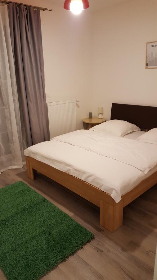 Apartament Schiller 58 布拉索夫 外观 照片