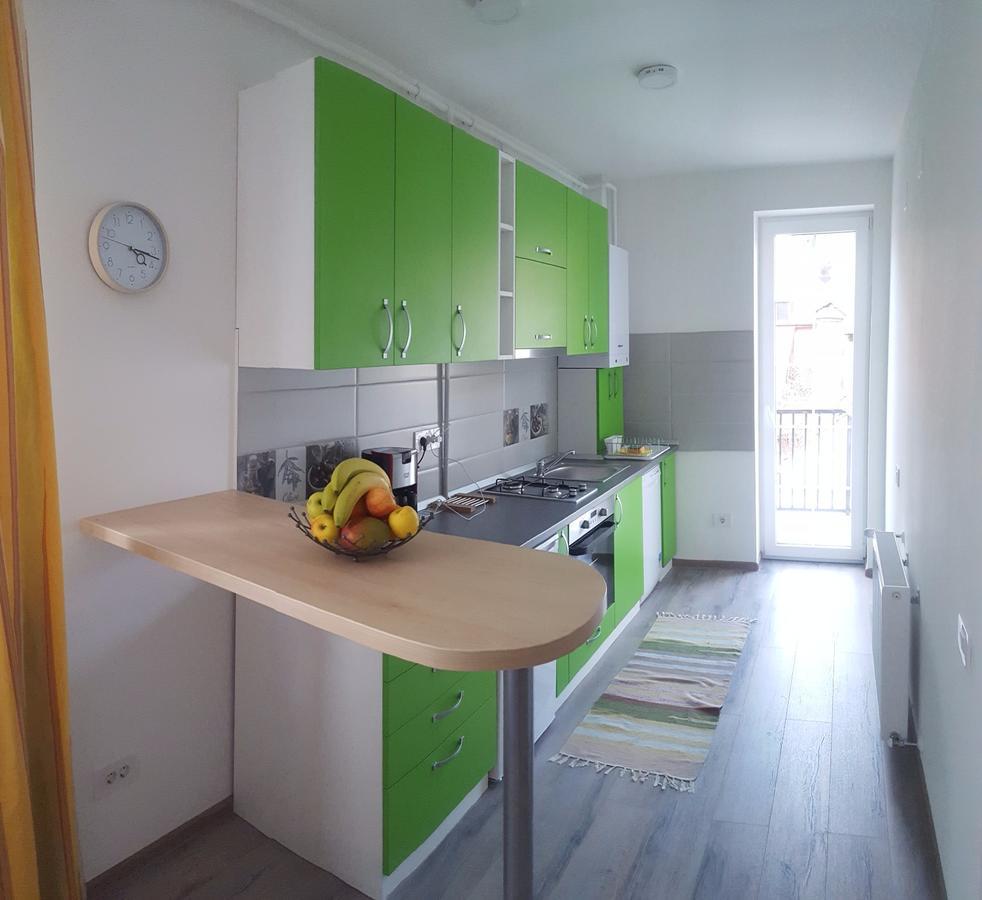 Apartament Schiller 58 布拉索夫 外观 照片
