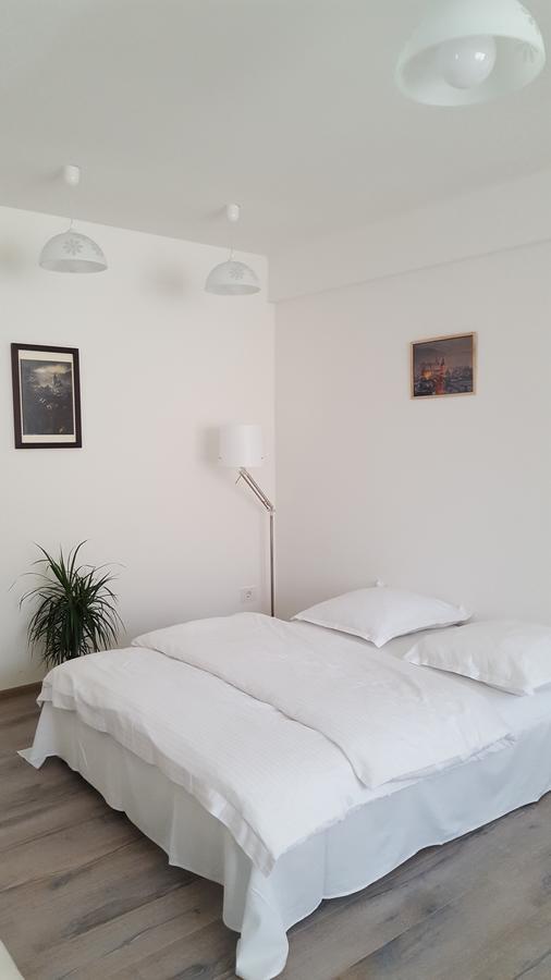 Apartament Schiller 58 布拉索夫 外观 照片