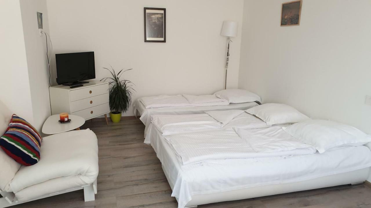 Apartament Schiller 58 布拉索夫 外观 照片